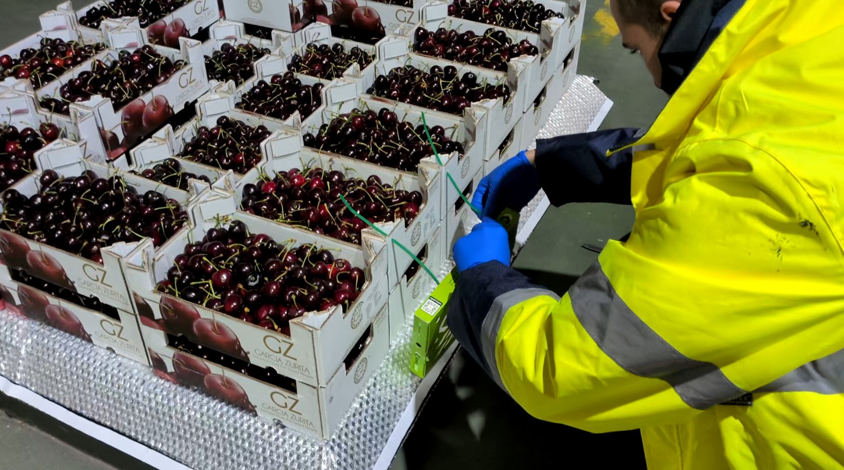 Colocación de filtro absorbedor de etileno en embalaje Guiver Fruits