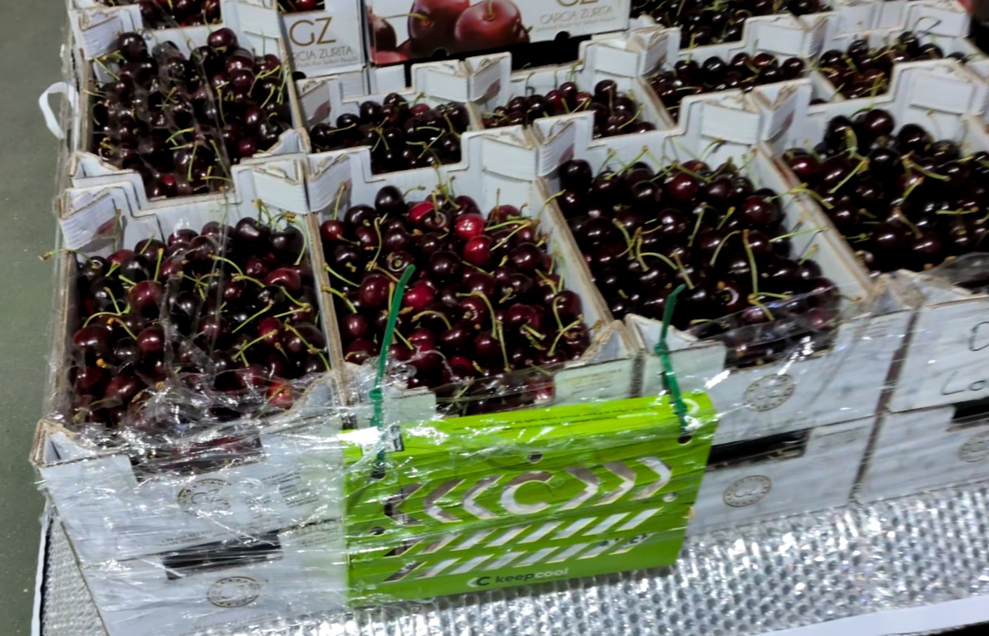 Filtro absorbedor de etileno con fleje y manta bajera Guiver Fruits