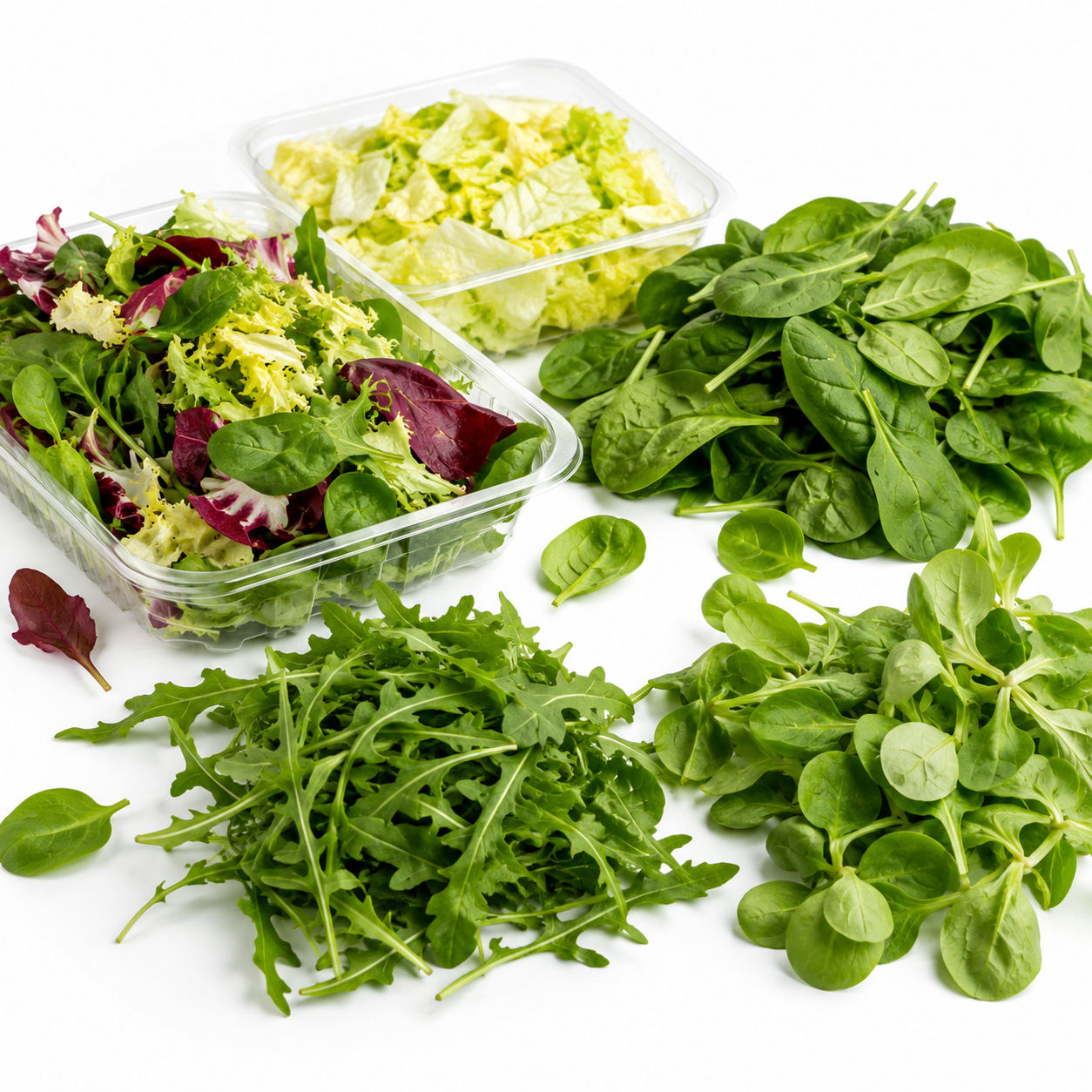 Verduras y ensaladas de IV gama listas para el lineal del supermercado