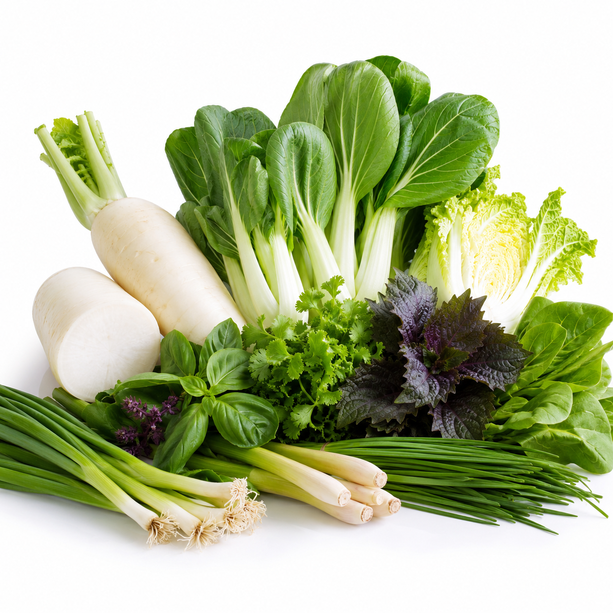 Línea de productos orientales para mercados asiáticos: pak choi, daikon y otras verduras especiales
