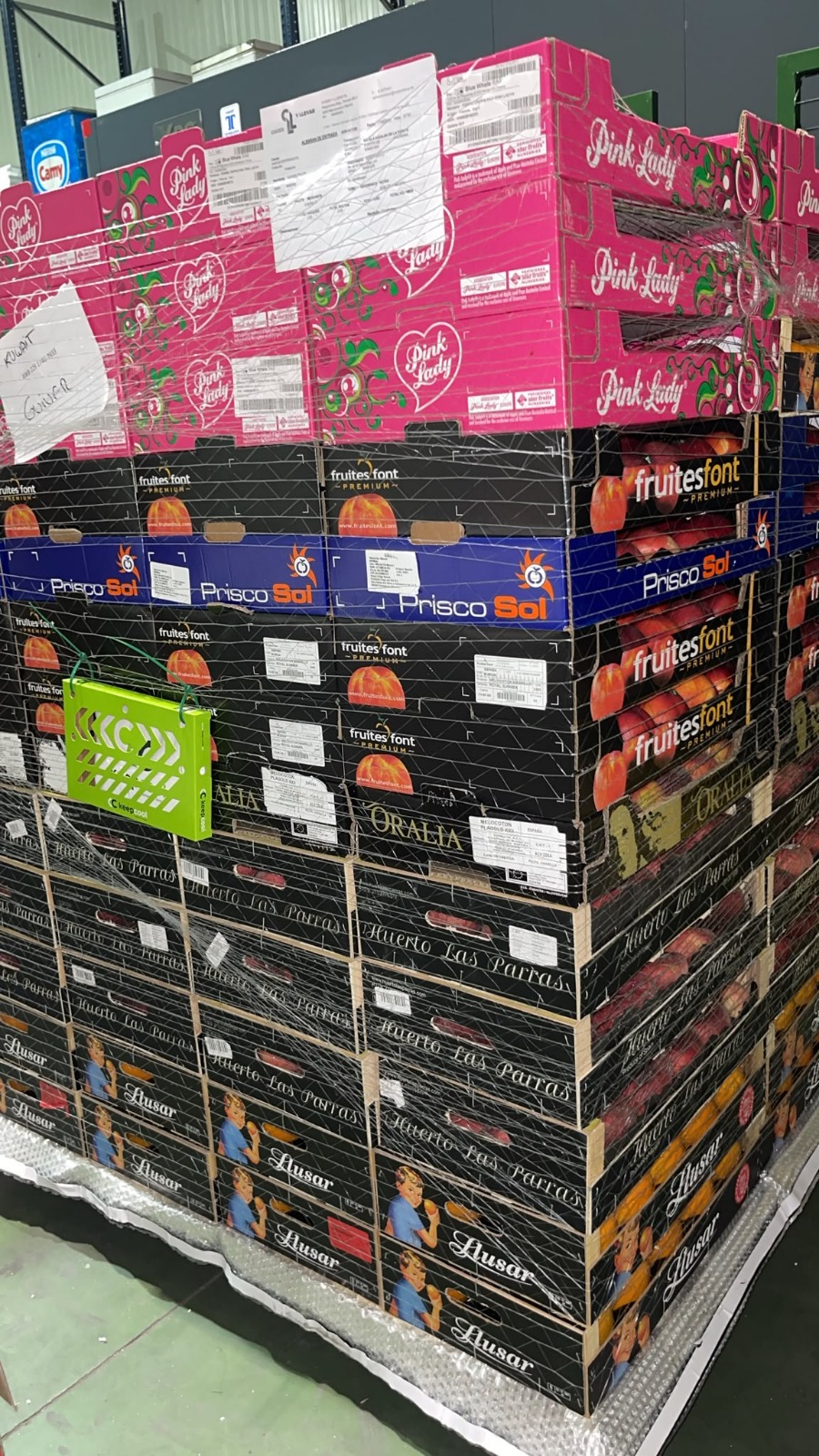 Paletizado de cerezas para exportación internacional